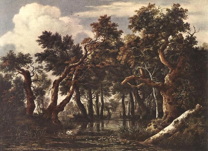 Jacob van Ruisdael The Marsh in a Forest Germany oil painting art